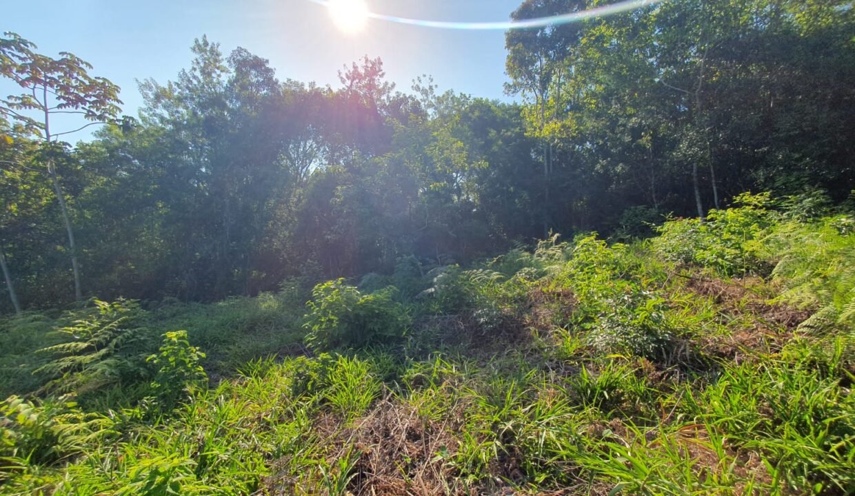 IMG-20250214-WA0026
