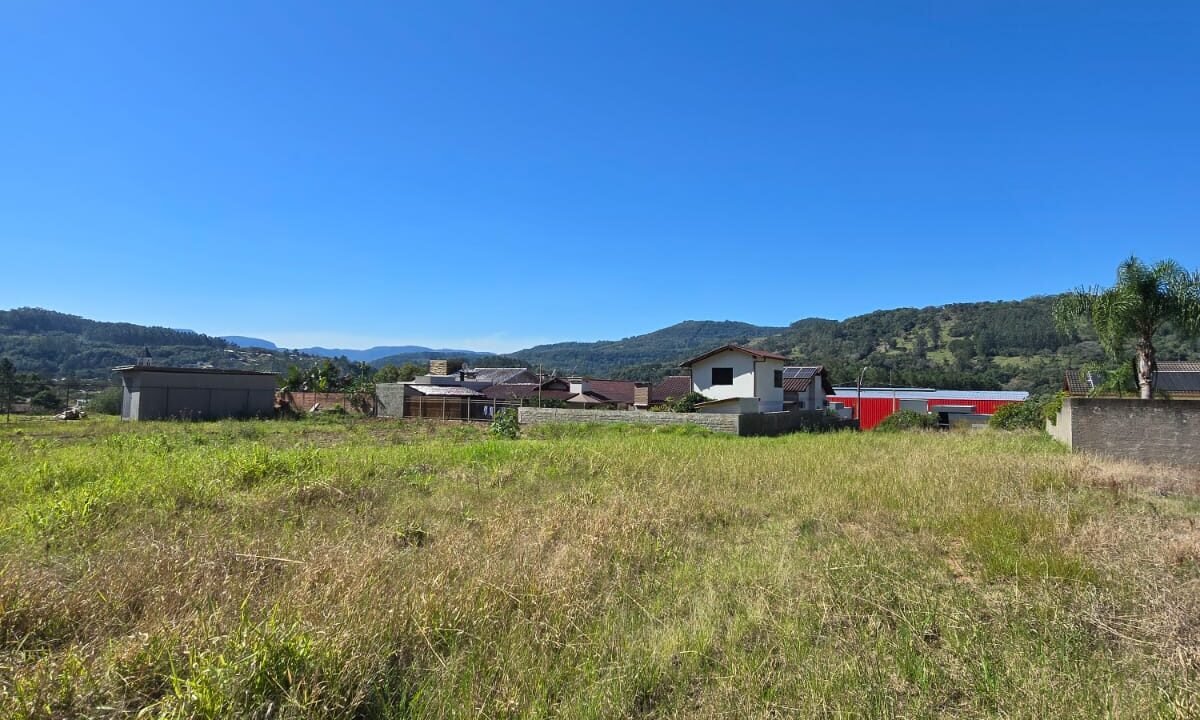 IMG-20250822-WA0008