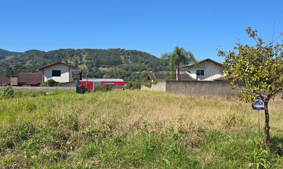 IMG-20250822-WA0013