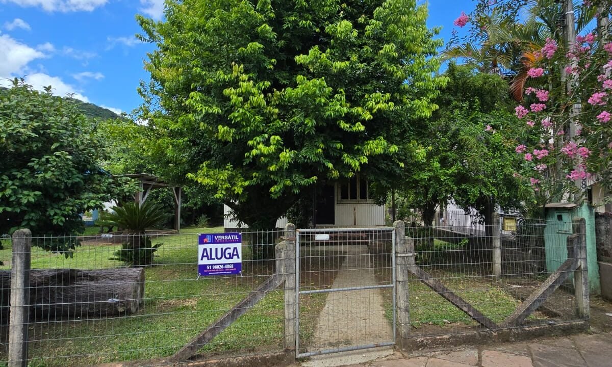 WhatsApp Image 2026-01-20 at 15.46.40