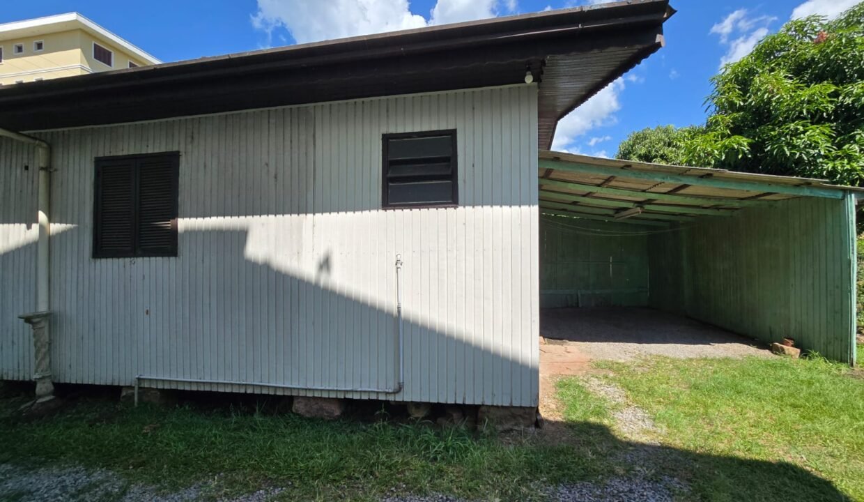 WhatsApp Image 2026-02-03 at 11.07.16