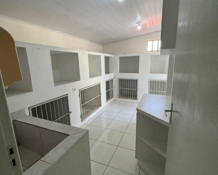 WhatsApp Image 2026-04-13 at 16.35.00 (1)